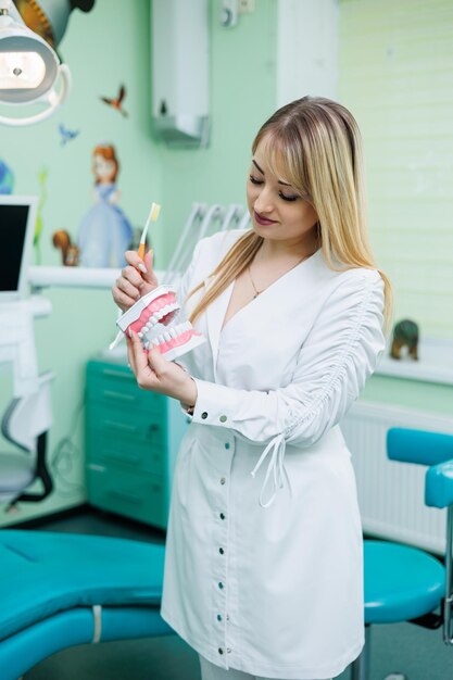 Erfolgreicher Zahnarzt Arzt hält in seinen Händen und betrachtet die Kunststoffprobe des Kiefers Ein Zahnarzt in einem weißen Kittel steht in seiner Zahnarztpraxis