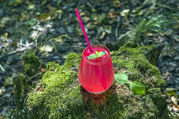 Erfrischende kühle Sommerlimonade aus Erdbeeren, Himbeeren, Grapefruit und roten Johannisbeeren