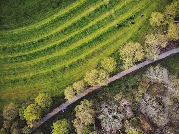 Foto erhöhte ansicht des landwirtschaftlichen feldes