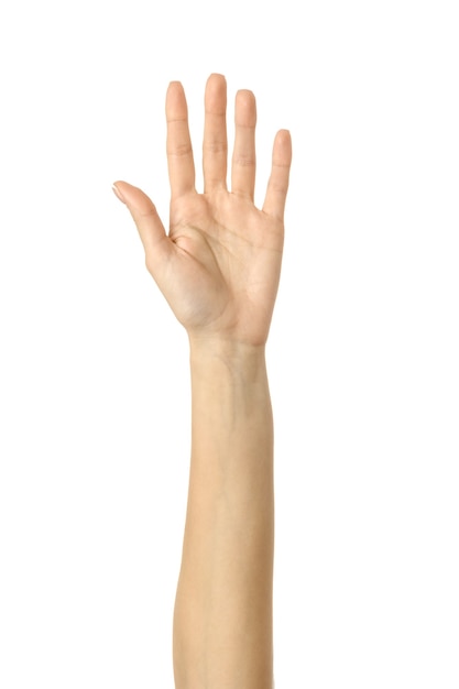 Erhöhte Handabstimmung oder Erreichen. Frauenhand mit französischer Maniküre gestikuliert lokalisiert auf weißer Wand. Teil der Serie