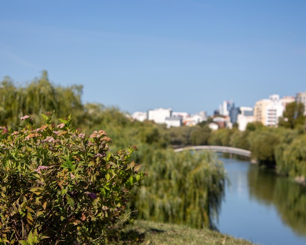 Erholungsgebiet in der Stadt