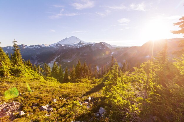 Erholungsgebiet Mt. Baker, Washington, USA