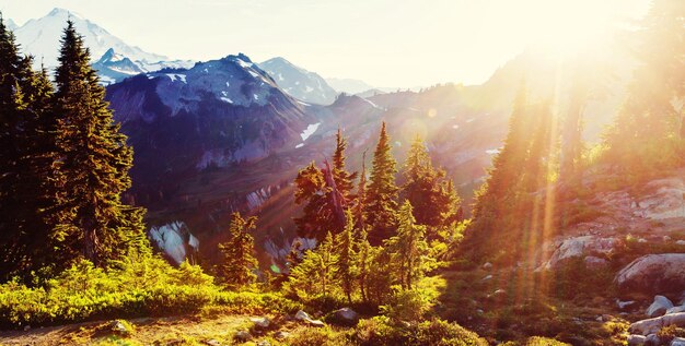 Erholungsgebiet Mt. Baker, Washington, USA