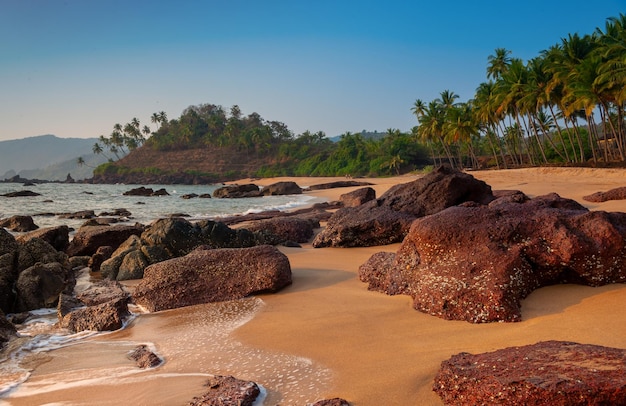 Erholungsortstrand mit Palmen in Goa Indien