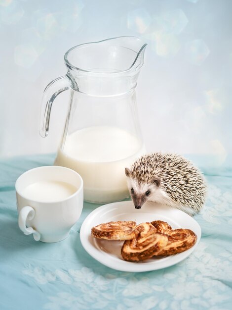 Foto erizo divertido cerca de una taza de leche y una galleta en platillo