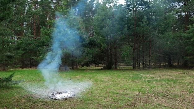 Erloschenes Lagerfeuer auf einer Lichtung im Wald mit weißem Rauch.