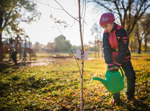 Ernstes kleines fleißiges Mädchen tränkte einen gepflanzten Baum aus