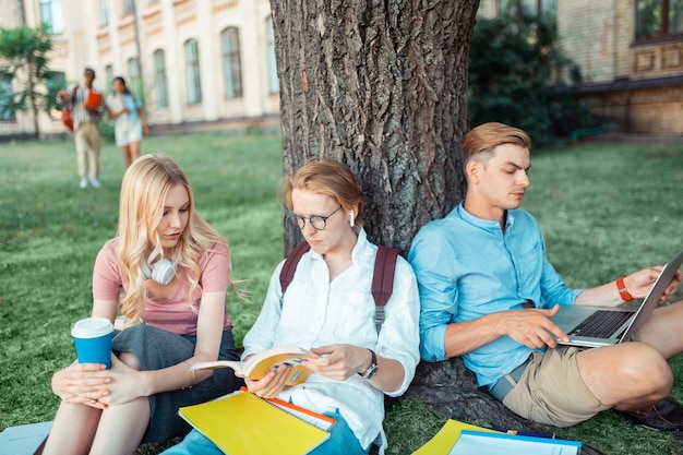 ernsthafte Gruppenmitglieder, die mit ihren Büchern und Geräten unter dem großen Baum sitzen und zusammen lernen