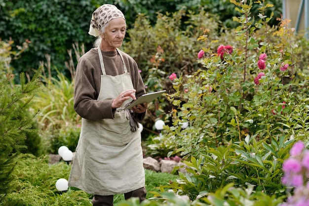 Ernsthafte Seniorin in Pullover und Schürze, die inmitten grüner Vegetation steht