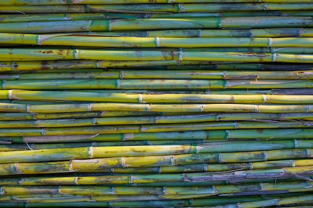 Ernte-Beschaffenheits-Musterhintergrund des Flusses grüner