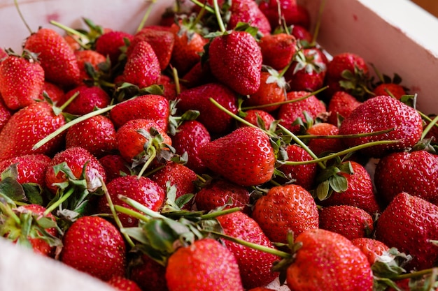 Ernte: rote Erdbeeren in einer Holzkiste. Die Victoria-Beere ist reif. Sommersaison