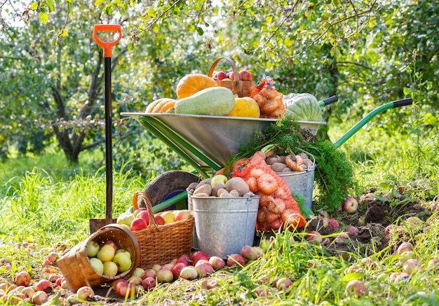 Ernte von Gemüse und Obst im Wagen