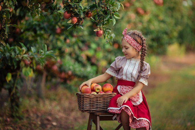 Ernte von Äpfeln auf dem Land im Garten. schönes Mädchen in Vintage-Kleidung ein roter Rock und eine Solokha sitzt in der Nähe von Weidenkörben mit Äpfeln