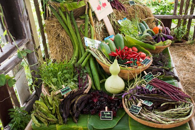 Ernte von viel frischem Gemüse und Obst und Gemüse aus eigenem Anbau zur Ausstellung und zum Verkauf für Thailänder beim Gemüse- und Pflanzenfestival in Nonthaburi Thailand