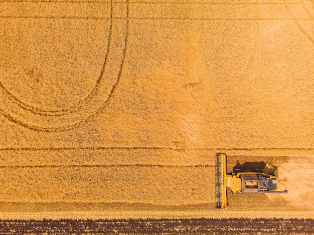 Erntemaschine auf dem Feld Draufsicht von der Drohne Mähdrescher Landmaschinenfahrt auf dem Feld