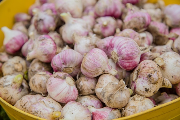 Ernten, Trocknen und Verarbeiten von Knoblauch auf der Farm für die Bequemlichkeit mit einem Messer und einem Holzstumpf