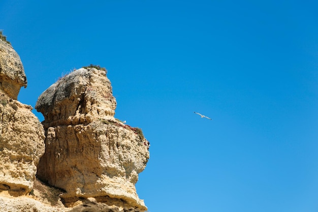 Erodierte Sandsteinklippe und Seemöwe im blauen Himmel