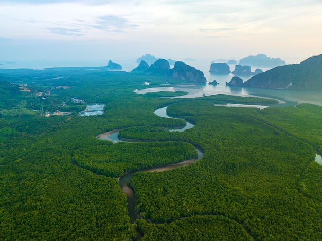 Erstaunlich reichlich Mangrovenwald Luftaufnahme von Waldbäumen Regenwald-Ökosystem und gesunder Umwelthintergrund Textur von grünen Bäumen Wald von oben nach unten Hohe Winkelansicht