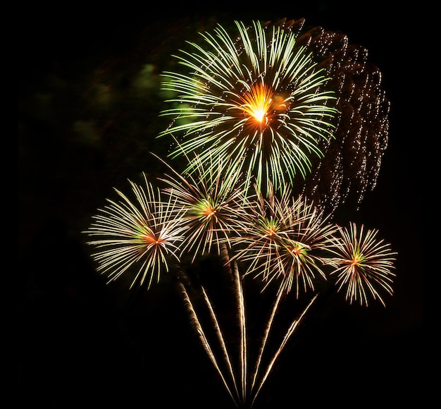 Erstaunlich schönes Feuerwerk auf schwarzem Hintergrund zum Feiern, Jubiläum, frohen Heiligabend und guten Rutsch ins neue Jahr