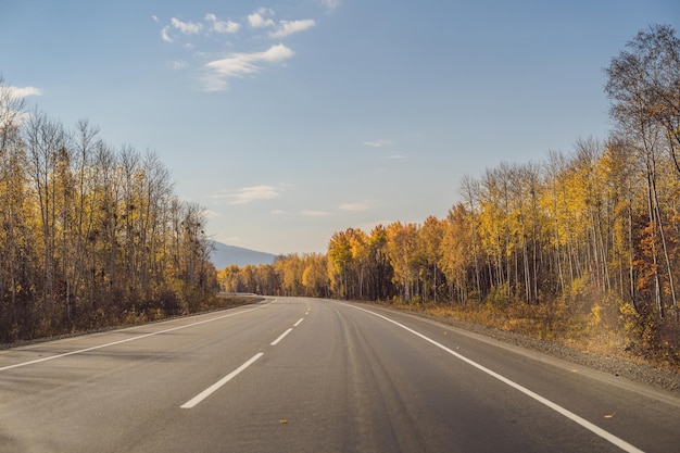 Erstaunliche Aussicht mit buntem Herbstwald mit asphaltierter Bergstraße. Schöne Landschaft mit leerer Straße, Bäumen und Sonnenlicht im Herbst. Reisehintergrund. Natur.