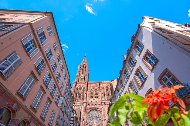 Foto erstaunliche kuppel des straßburger münsters oder der kathedrale notredame de strasbourg gegen den blauen himmel