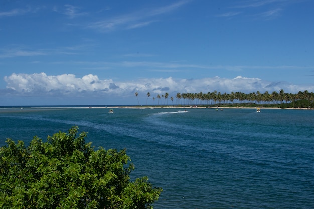 Erstaunliche Landschaft des Strandstücks