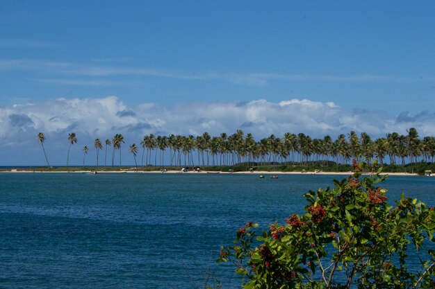 Erstaunliche Landschaft des Strandstücks