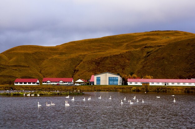 Erstaunliche Landschaft in Island Schöne Natur