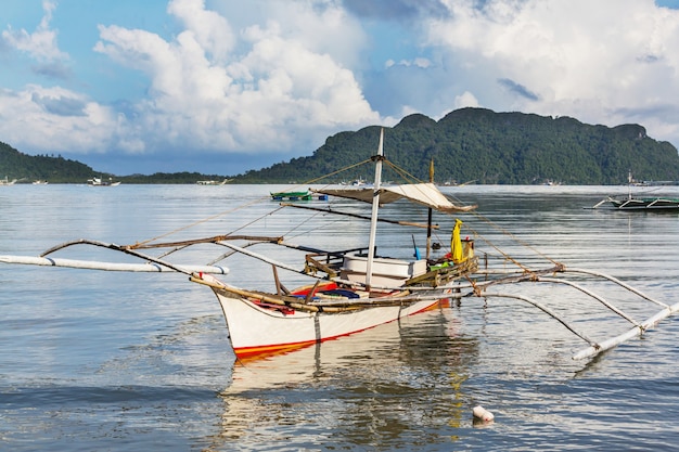 Erstaunliche malerische Aussicht auf die Meeresbucht und die Berginseln, Palawan, Philippinen