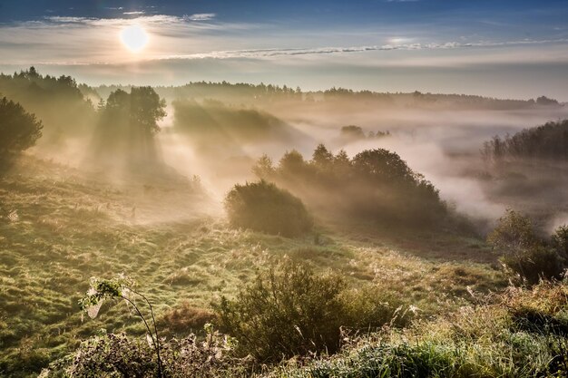 Erstaunliche Morgendämmerung im nebligen Tal im Herbst