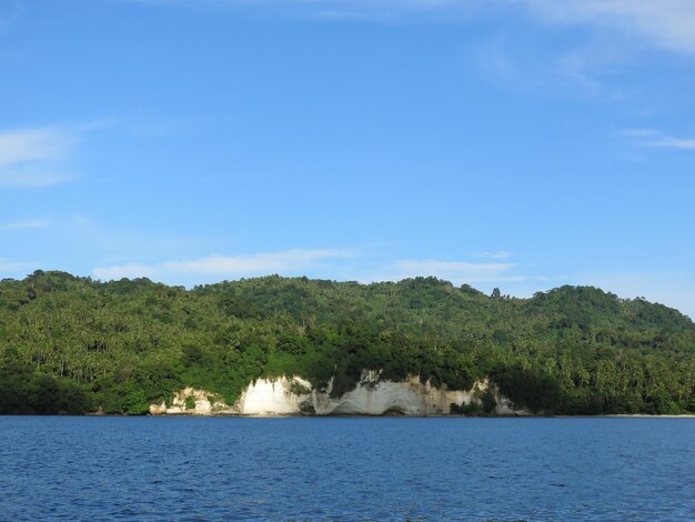 Erstaunliche Natur der Lembeh Strait, Indonesien.