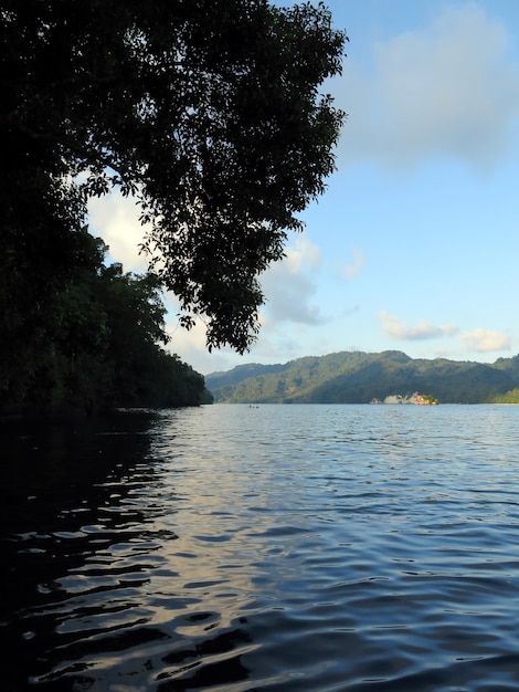 Erstaunliche Natur der Lembeh Strait, Indonesien.