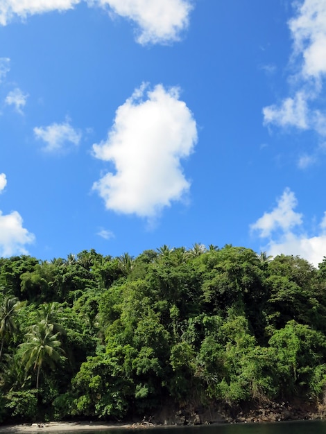 Erstaunliche Natur der Lembeh Strait, Indonesien.