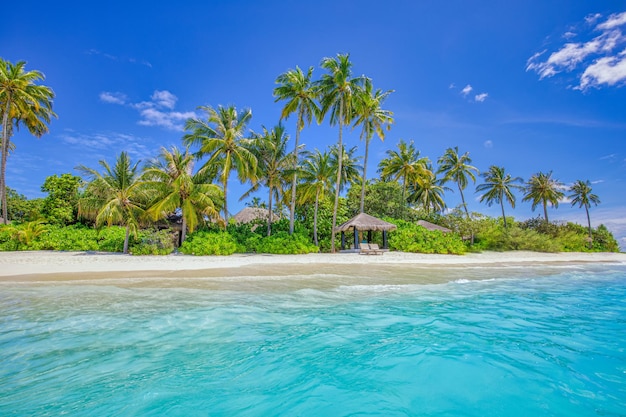 Erstaunliche Natur Strand mit Palmen exotisches Meer Himmel Sommerferien Reisen Urlaub Hintergrund