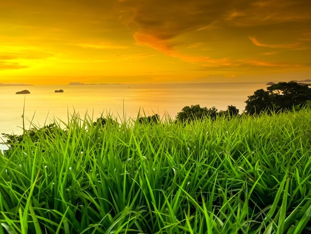 Erstaunliche Naturlandschaft im Sonnenuntergang Thailand