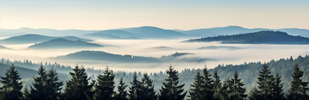 Erstaunliche Nebellandschaft im Schwarzwald