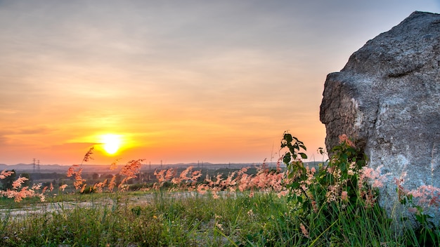 Erstaunliche Sommersonnenaufgangansicht mit einem großen Stein