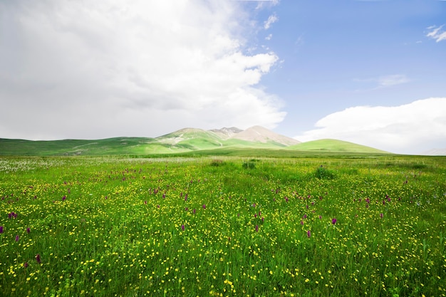 Erstaunliche und wunderschöne Gebirgslandschaft, Gipfel und Hügel