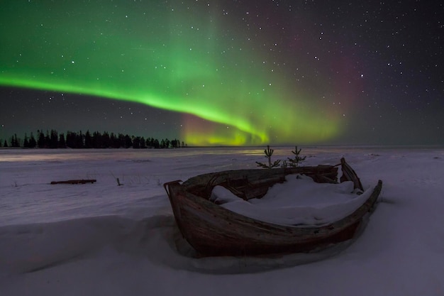 Erstaunliche Winterlandschaft mit Nordlichtern und Sternen