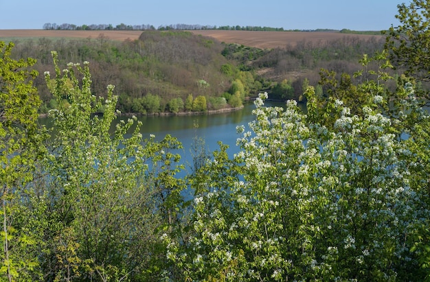 Erstaunlicher Frühlingsblick auf die Dnister River Canyon mit malerischen Felsenfeldern Blumen Dieser Ort namens Shyshkovi Gorby Nahoriany Chernivtsi Region Ukraine