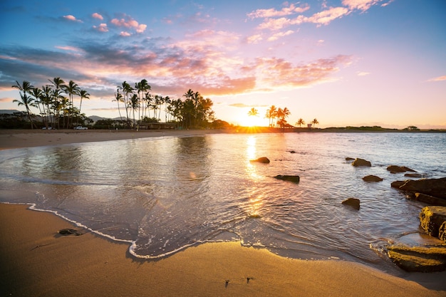 Erstaunlicher hawaiianischer Strand. Wellen Sie im Ozean bei Sonnenuntergang oder Sonnenaufgang mit Surfer. Welle mit warmen Sonnenuntergangsfarben.