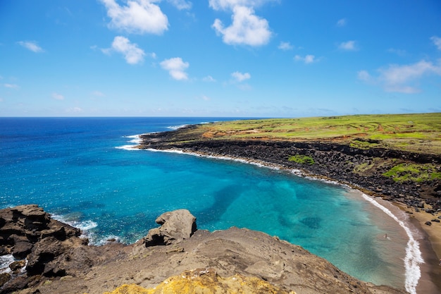 Erstaunlicher hawaiianischer Strand