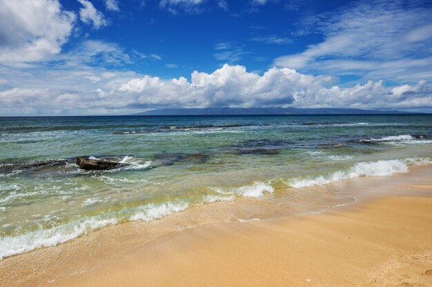 Erstaunlicher hawaiianischer Strand