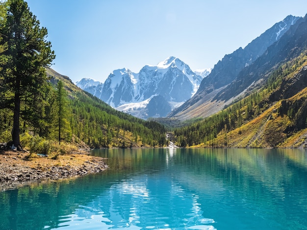 Erstaunlicher klarer Bergsee im Wald unter Tannen bei Sonnenschein. Helle Landschaft mit wunderschönem türkisfarbenem See vor dem Hintergrund schneebedeckter Berge. Unterer Shavlin-See