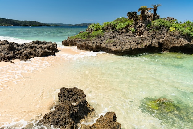 Erstaunlicher Küstenstrand, umgeben von Felsen, smaragdgrünem Meer und Sagopalmen darüber. Iriomote-Insel.