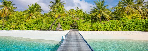 Erstaunlicher Malediven-Insel-Strandpier in den sonnigen Himmel der paradiesischen Küstenpalmen Sommerreiseurlaub