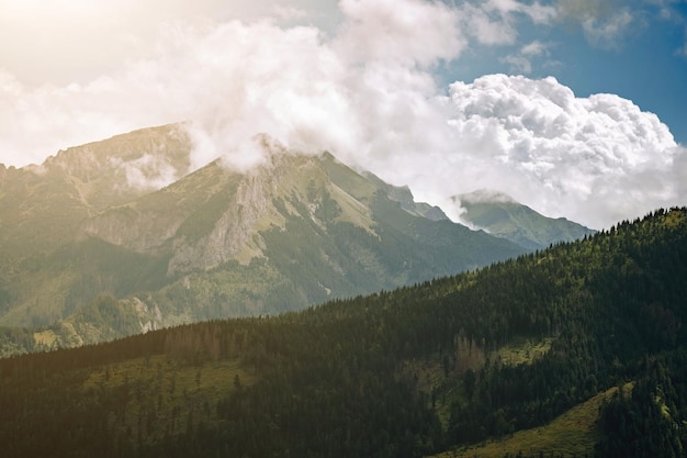 Erstaunlicher Natursommer in den Bergen Reisen und Wandern