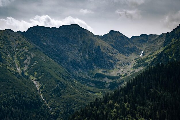 Erstaunlicher Natursommer in den Bergen Reisen und Wandern