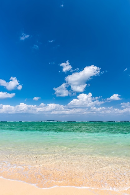 Foto erstaunlicher paradiesstrand, weiche, kristallklare meereswelle auf sand