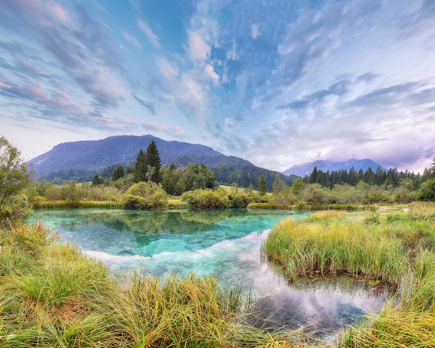 Erstaunlicher Sommerblick auf den Zelenci-See mit wunderschönen Reflexionen im Wasser